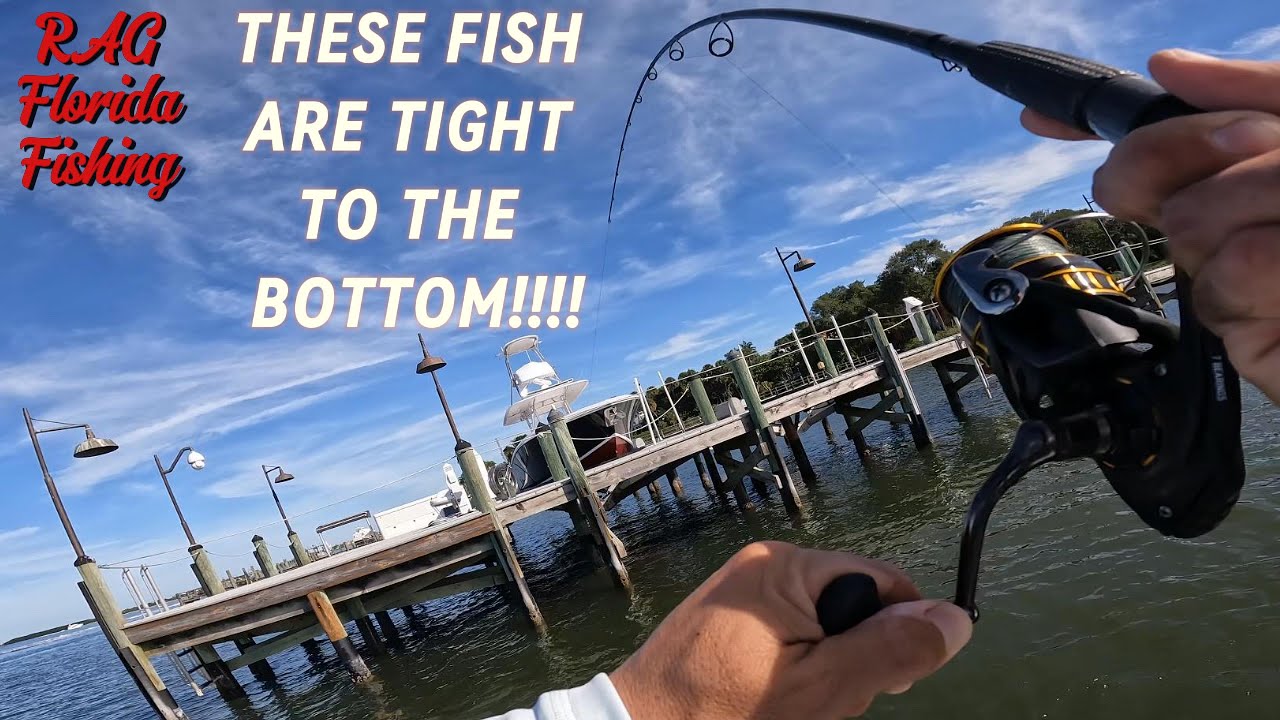 Джиггинг на причалах Южной Флориды для ловли зимнего снука!!!