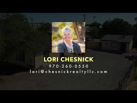 166 S Plum St, Fruita, CO home video tour