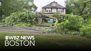 Woburn residents left without power after tree falls on powerlines
