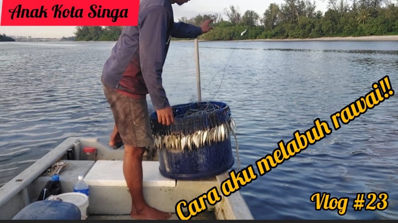 2 in 1 merawai Dan menjaring..