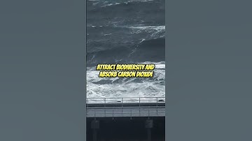 Japan built a WALL OF TREES to protect against tsunamis! 😱🌊🌳