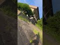 uphill sprint #running #shortvideo #shorts #fypシ #japan #japanvlog #runner #run #runningmotivation