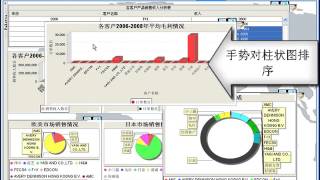 Visual Analytics System for a Company using Daisy