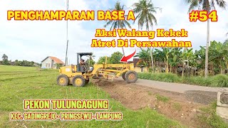 Aksi Walang Kekek! Atret Disawah - Penghamparan Base A | Tulungagung #jalanabc #jalantulungagung