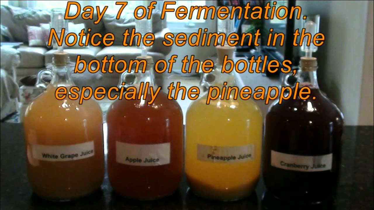 Fermenting School Project Final Video: Complete Project (Parts 1 and 2 ... - MaxresDefault