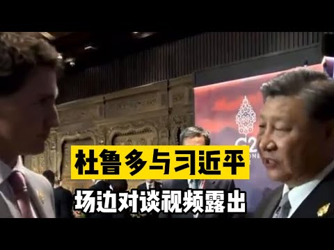 杜鲁多与习近平在G20会场边交谈视频