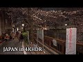 Night sakura in Tokyo Meguro ・4K HDR