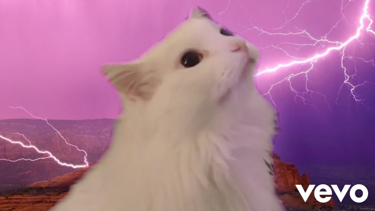 Imagine Dragons - Thunder - Cat Cover - YouTube