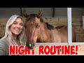 NIGHT ROUTINE OF AN EQUESTRIAN | Winter 2021