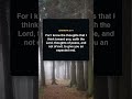 Jeremiah 29 11   Hope Bible Verse #shorts