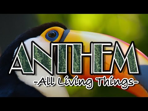 アンセム/ANTHEM/番組テーマ曲/子龍/shiryu/MIDI/原曲/Roland SC-8850