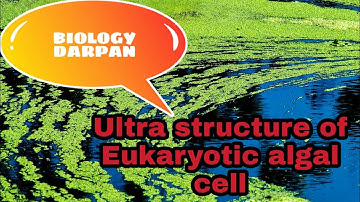 Ultra structure of Eukaryotic algal cell part 2