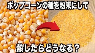 ポップコーンの種を粉末にして熱したら意外な結果にwww【実験】