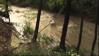 Dallas Creek Calm to Roaring Full by Phillips Urban Wildlife 355 views 8 years ago 2 minutes