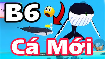 Play Together | Cá Voi Sei Và Cá Voi Lưng Gù Vương Miện | Lão Cá PLAY