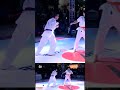 @Artofkarate #karate #shorts #reels #kicks #viral #fight #ko #Kyokushin #artofighters #art #combat