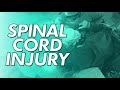 Spinal Cord Injury - diagnosis, treatment, recovery.