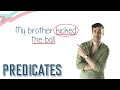 Understanding Simple and Complete Predicates