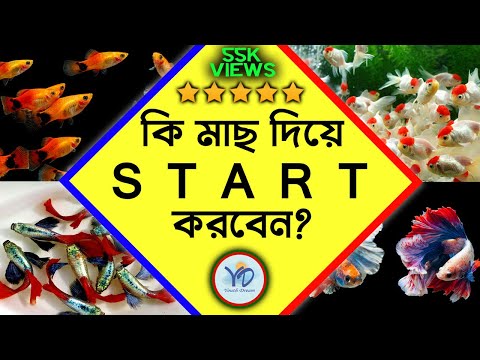 ভিডিও: টুর্নির পর সিজে কি মাছ কিনবে?