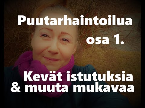 Video: Mikä on alkuperäiskasvien taimitarha: vinkkejä alkuperäisen taimitarhan perustamiseen