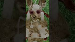 pippa when she #pipkinpippa #vtuber #envtuber #jumpscare #envtubers #phaseconnect
