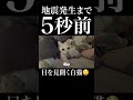 地震発生5秒前、異変に気づき目を見開く愛猫🐈 #保護猫 #猫 #猫のいる暮らし