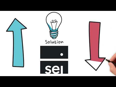 Sei Network (DEFI Breakthrough)