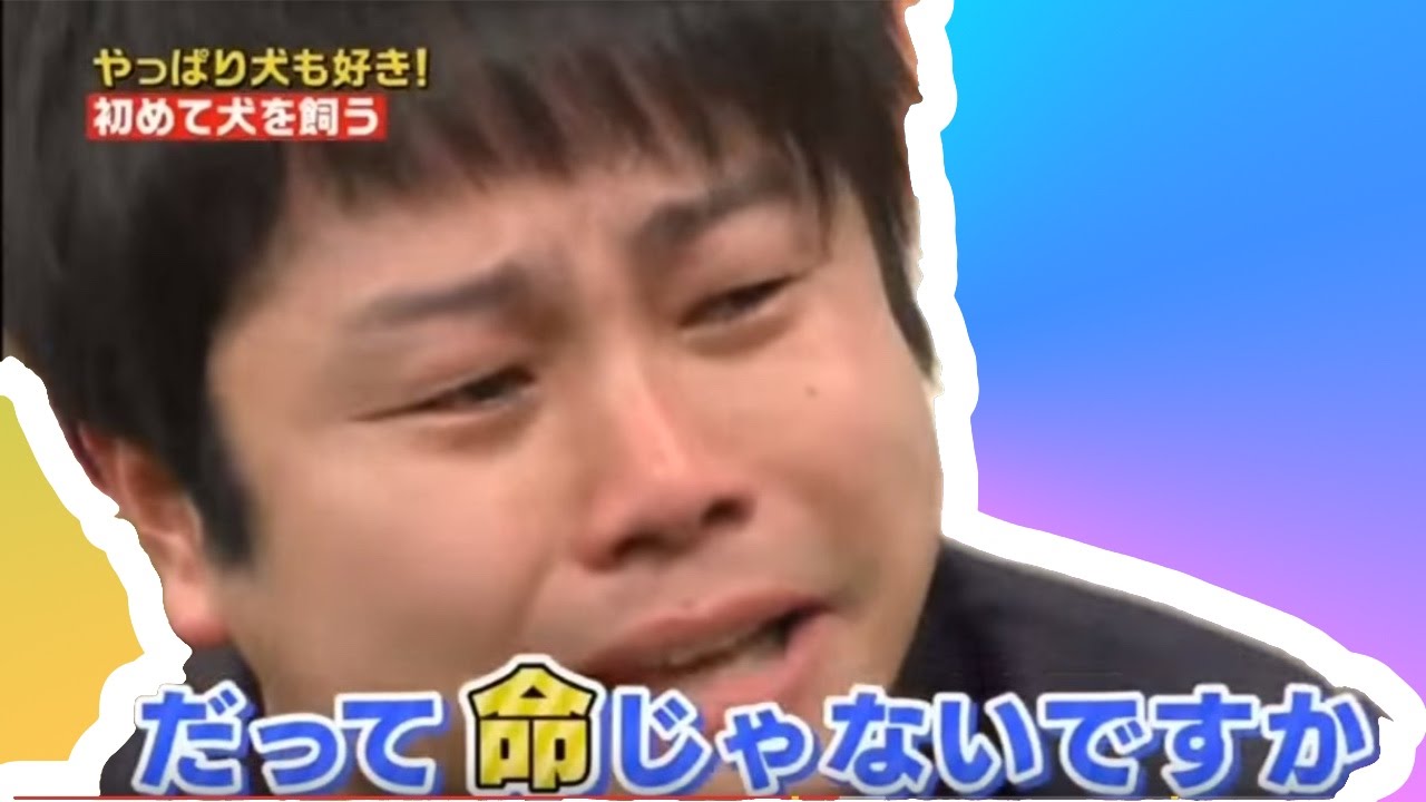 ノンスタイル井上さんの動物を思う気持ちに涙が止まらない だって 命じゃないですか Youtube ノンスタイル井上さんの動物を思う気持ちに涙が止まらない だって 命じゃないですか Youtube