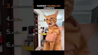 Ranking the most SHOCKING talking cat moments 🐈🗣️