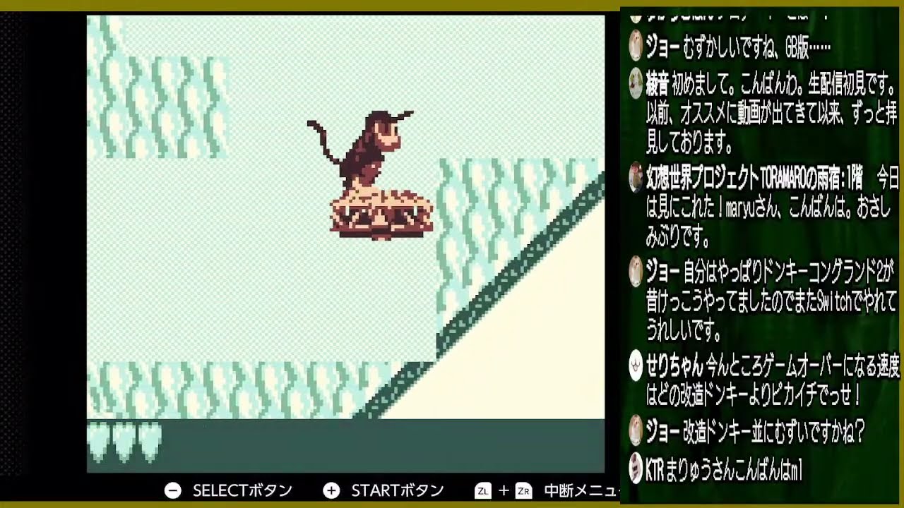 ドンキーコング新品（がち） 生スバル】スーパードンキーコング2：Donkey Kong Country 2