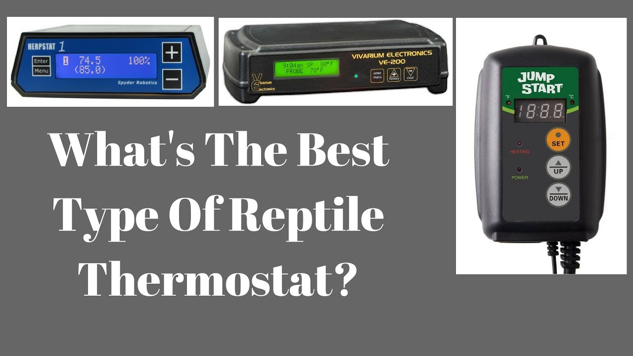 Digital Thermostat Monitor Analyzer Reptile Snake Vivarium Heater Incubator S150 