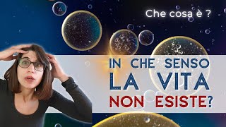 Che cos'è la vita? (e perché non riusciamo a trovare una definizione)