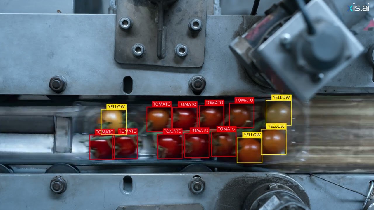 🌱 Tomato Quality Check: A Fresh Take on Inspection 🍅