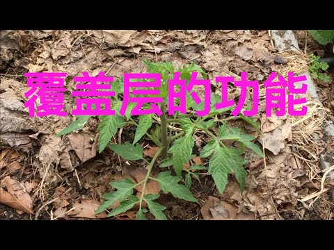 覆盖层的6个功能