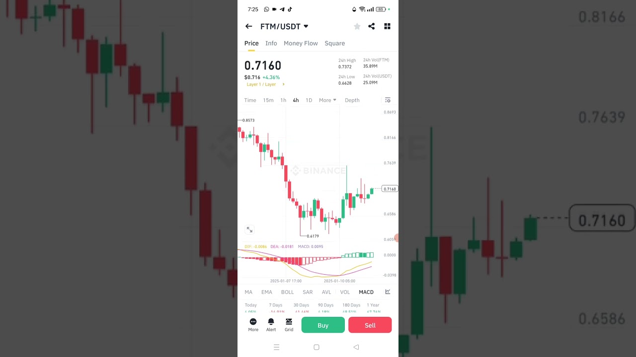 FTM Coin - Risk Say Ishiq Hai. How to Buy Fantom FTM Coin
