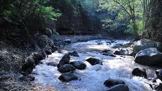 suara air sungai yang mengalir, (background video)