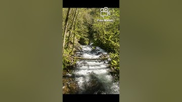 لمن ضاقت به الدنيا "ايات من سورة النمل " اسلام صبحي