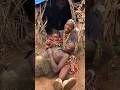 La lealtad de los adivasis en tiempos de separación #HistoriasReales #VidaTribal