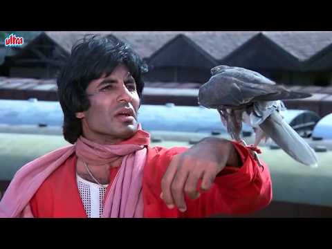 Kya Lagta Hain Allah Rakha Is Main Bar HAJ Ja Paunga - Amitabh Bachchan जबरदस्त सीन - Coolie