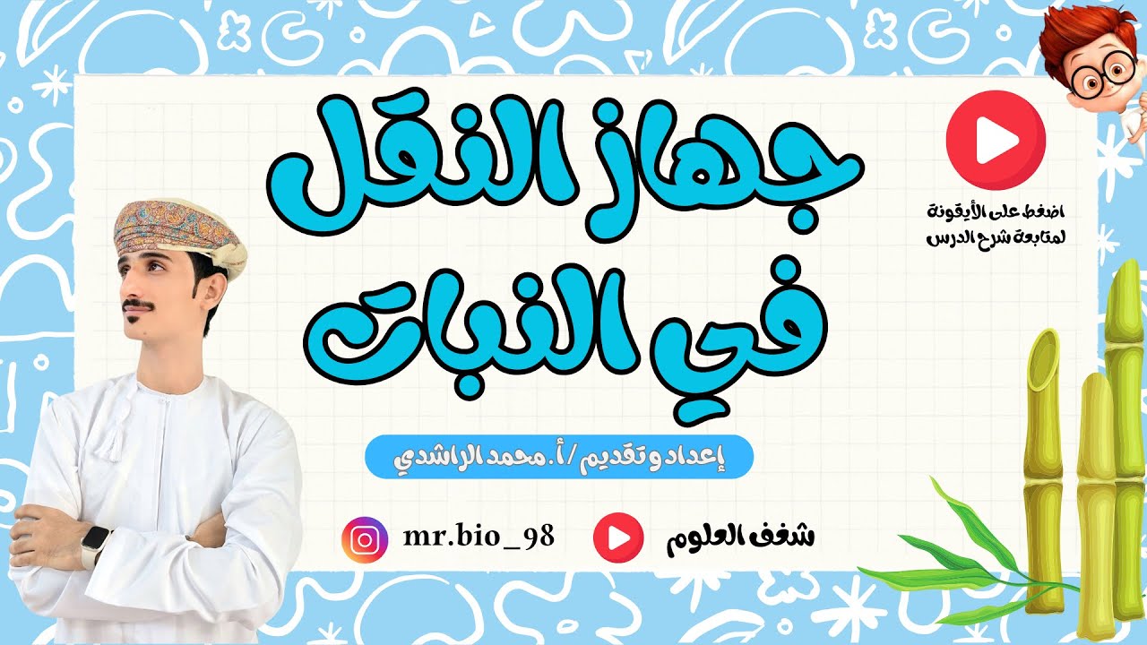 درس جهاز النقل في النبات الوحدة التاسعة (النقل في النبات) للصف التاسع مادة الاحياء