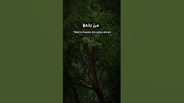 سورة فاطر ٢🫀 محمد صديق المنشاوي " مَا يَفْتَحِ اللَّهُ لِلنَّاسِ مِنْ رَحْمَةٍ فَلا مُمْسِكَ لَهَا "