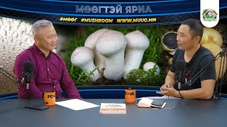 картинка: 