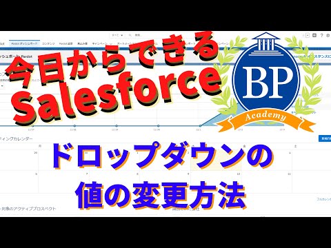 【今日からできるSalesforce】選択リスト（ドロップダウン）の値の変更方法