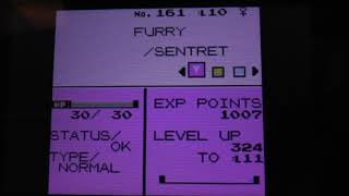Pokemon Gold - Vortexs Team So Far