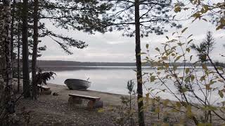 Nature's Oasis: Study, Meditate, and Relax by the Serene Waterside.