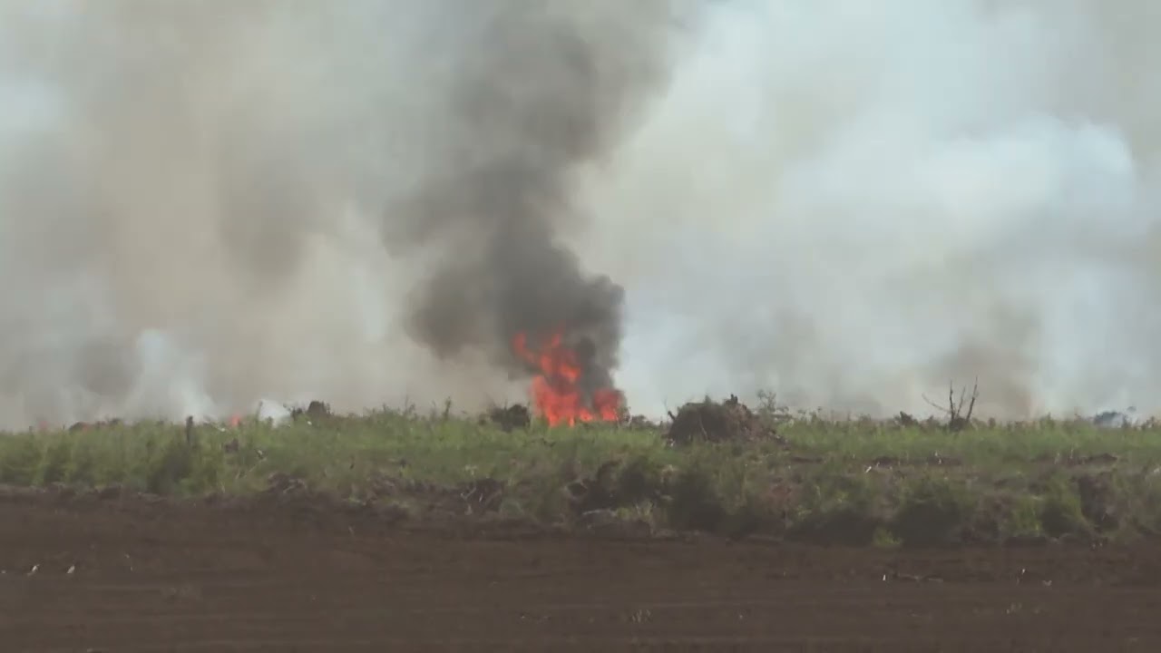 Fünf Verletzte bei verheerendem Brand im Moor Göldenitz