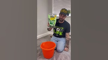 How To Hang Wallpaper (Become A Pro) #how #howto #shorts