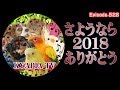 犬とインコ・KYAPIA TV「今年もありがとうございました。よいお年を♪」2018インスタ掲載写真♪キャピアtv