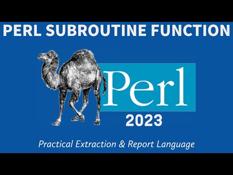 Perl Programming - Subroutines & Functions 2023