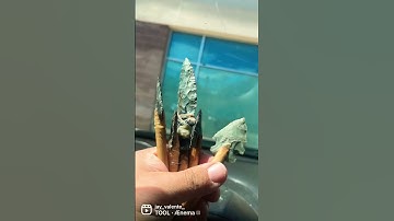 Atlatl and arrow foreshafts, New York Chert arrowheads / North Carolina rhyolite #flintknapping